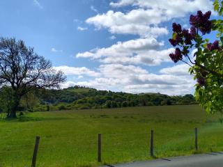 View of field and hills