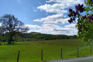View of field and hills
