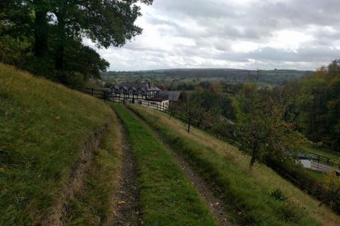 Some paths around the grounds are slopy and uneven