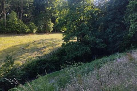 we will explore the joy that comes from connecting with nature.