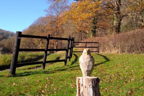 Autumn sunshine