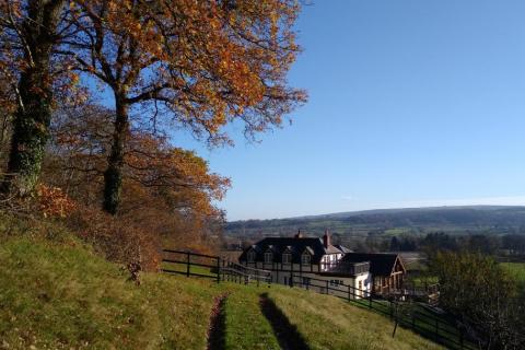 Looking down on the house from the orchard