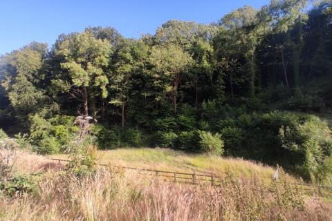 Set in a secluded woodland location...