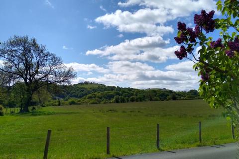 View of field and hills