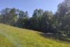and sunny meadows.