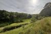 View across valley with meadow and fruit trees in foreground